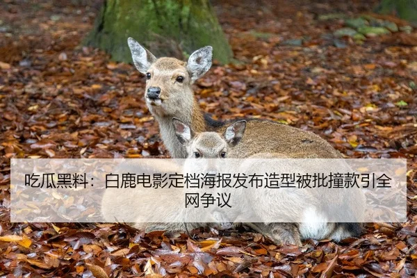 吃瓜黑料：白鹿电影定档海报发布造型被批撞款引全网争议